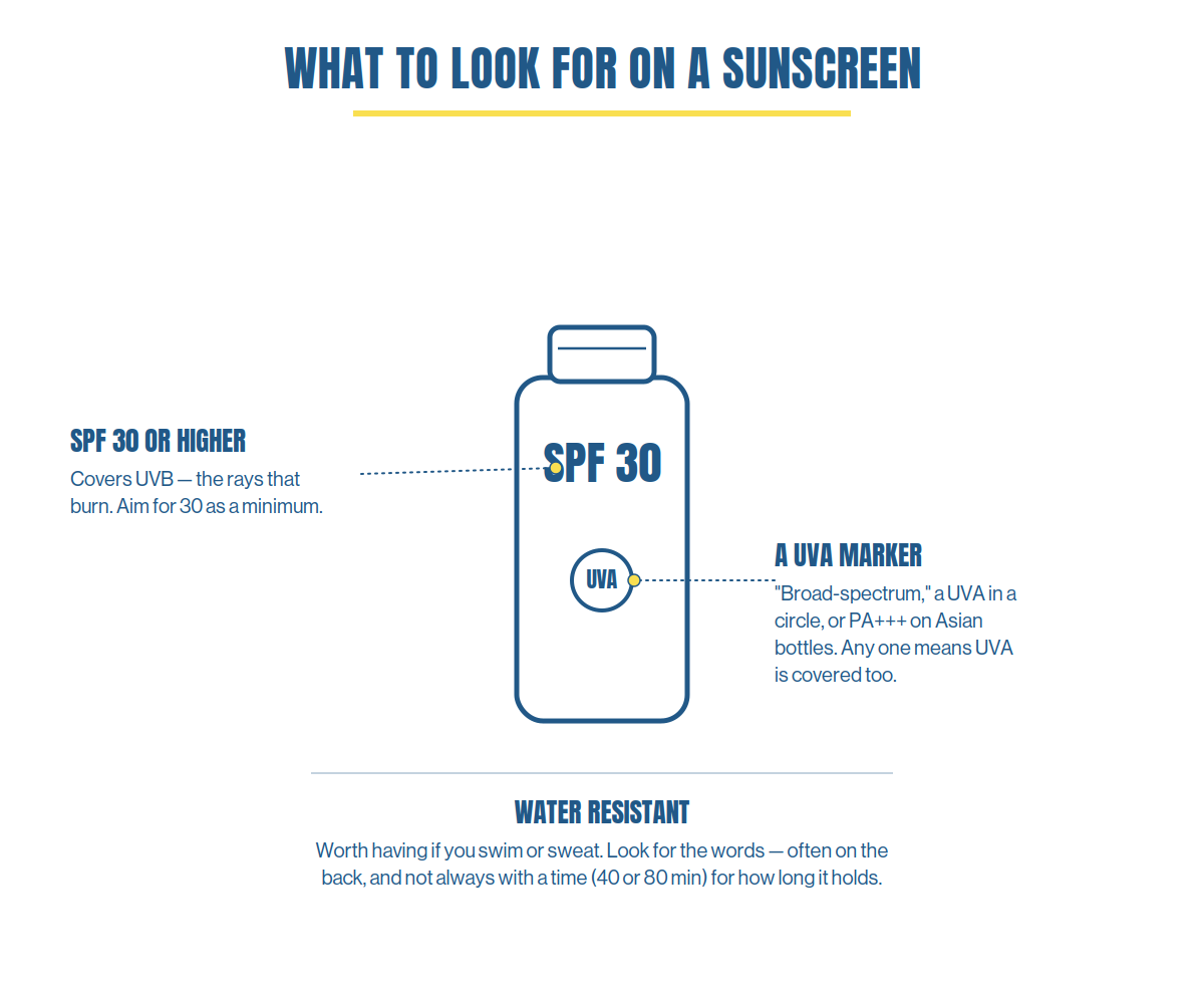 A sunscreen bottle showing the two markers to look for on the front: SPF 30 or higher, which covers UVB, and a UVA marker — broad-spectrum, a UVA-in-a-circle symbol, or PA+++ on Asian bottles. A separate note explains that a water-resistant sunscreen is worth having if you swim or sweat, and that the wording is often on the back and does not always give a time.